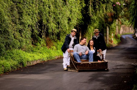 Carro de Cesto - Monte